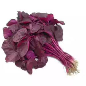 Lal Shak (Red Spinach)